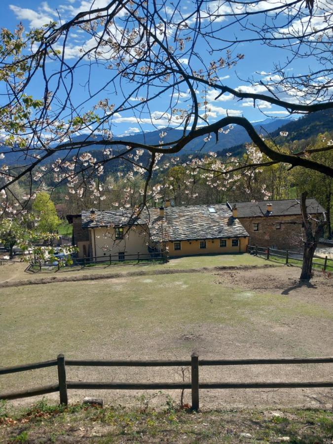 Villar San Costanzo Country House Le Gaie Allegre المظهر الخارجي الصورة